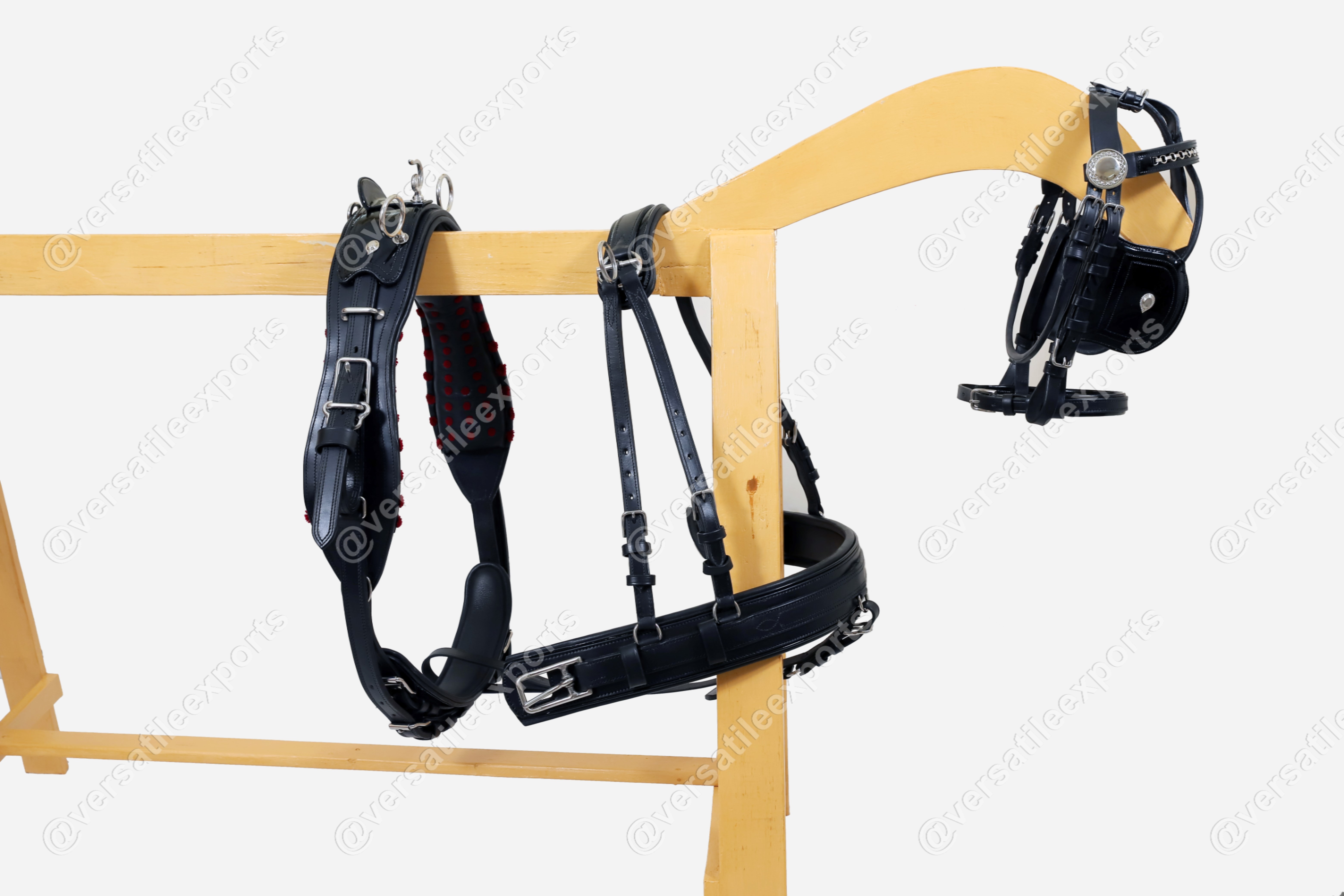 Presentation Harness